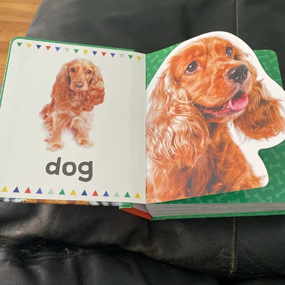 My Big Book of Animals. April 2003 First Edition - Picture 4 of 7